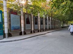 -中国人民解放军总医院(301医院)