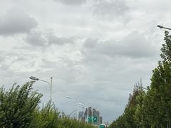 -CoCo都可(大润发中原店)