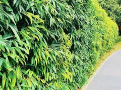 -四海公园(南山区)