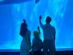 -海合安成都极地海洋公园