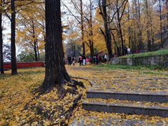-阳台山自然风景区