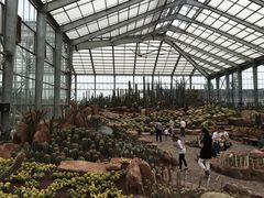 -南通洲际绿博园