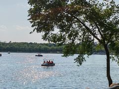 -长春市南湖公园