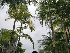 -广州都喜泰丽温泉度假酒店