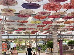 -广东花都香草世界旅游度假区