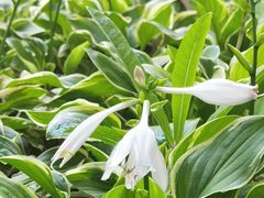 -中国人民解放军空军第九八六医院(北区)