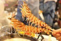 -鲜入围煮花胶鸡海鲜火锅