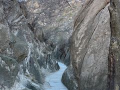 -北京凤凰岭
