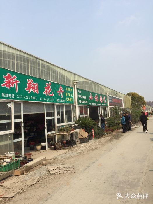 龙大花卉苗木市场图片