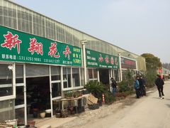 -龙大花卉苗木市场