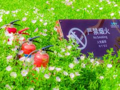 -洋湖国家湿地公园