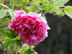 -惠山国家森林公园