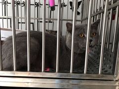 -美美酱宠物(外运路小区店)