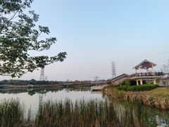 -王借岗森林公园