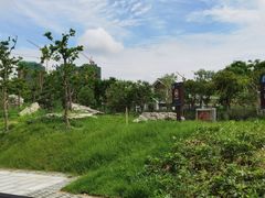 -王借岗森林公园