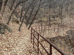 -北京鹫峰国家森林公园