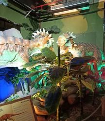 -恐龙探索乐园(磁器口店)