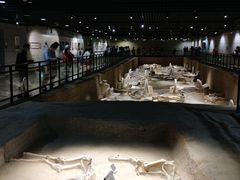 -洛阳周王城天子驾六博物馆