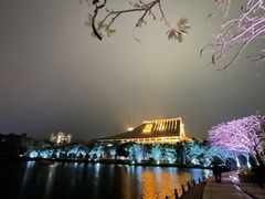 -厦门大学(思明校区)