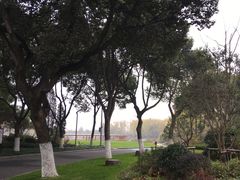 -昆山城市生态森林公园