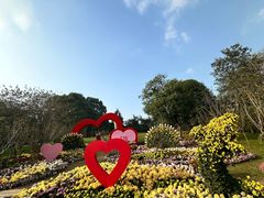 -南山植物园