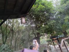 -明月山天沐温泉度假村