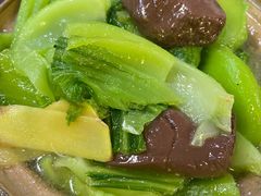 鸡血芥菜煲-深圳柯记餐厅(大望店)