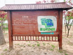 -大兴滨河森林公园