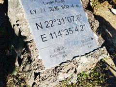 -杨梅坑