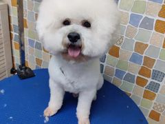 -宠颐生猫科·内科皮肤科(西平世纪城店)