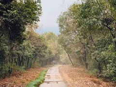 -杭州半山国家森林公园