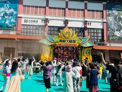 -西双版纳原始森林公园