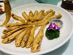 -金米箩大酒店(五角场店)