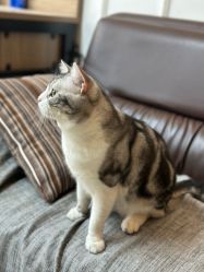 -长沙纹身·龙堂刺青·三土师傅的店