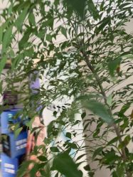 -佳颜轻医美·美学抗衰中心