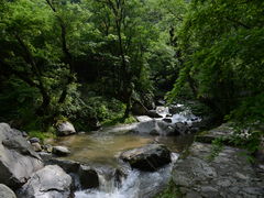 -岳西天峡风景区