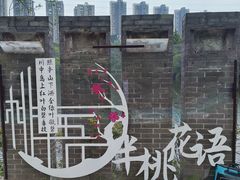 -重庆彩云湖湿地公园