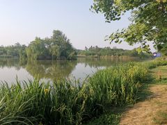 -白鹭湾湿地公园