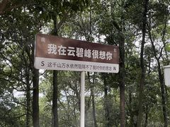 -云碧峰国家森林公园