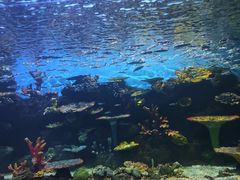 -华夏文旅海洋公园