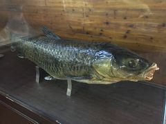 -南京金牛湖风景区