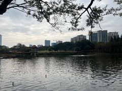 -深圳龙潭公园