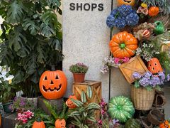 -Money Shops(愚园路店)