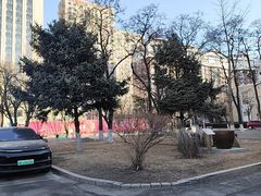 -北陵公园
