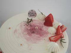 -考拉与糖·纯安佳动物奶油蛋糕(理工大学店)