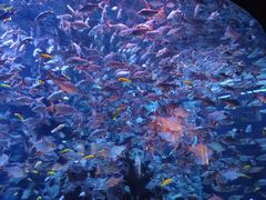 -成都浩海立方海洋公园