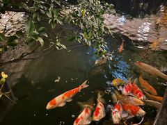 -寻味顺德·顺峰山庄(大良店)