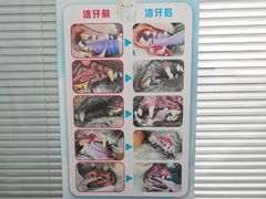 -心仪动物医院·牙专科·肿瘤·心脏科(西客站院)