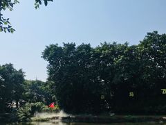 -广州长隆飞鸟乐园