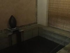 -仁爱团泊湖温泉中心
